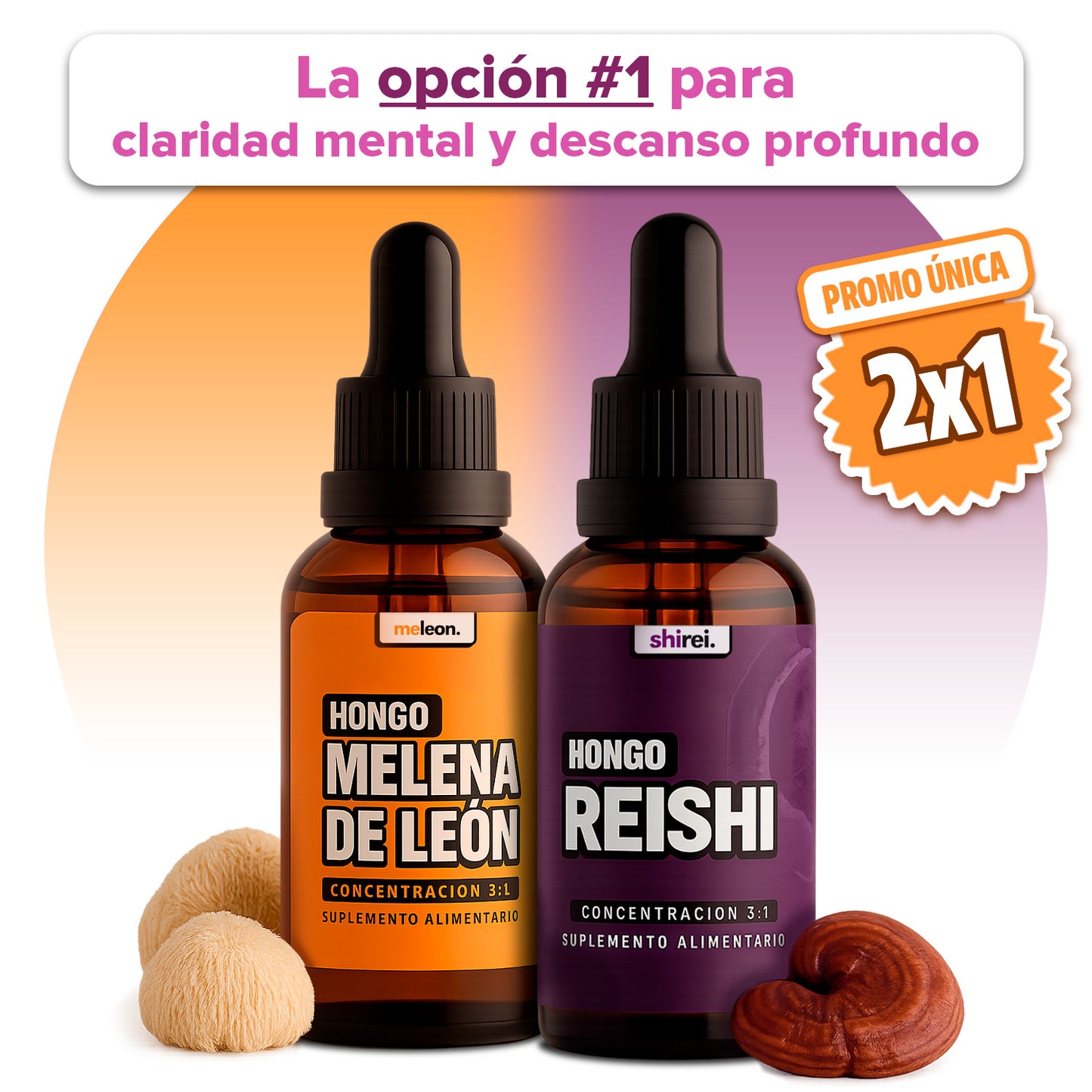 KIT ENFOQUE Y CALMA | MELENA DE LEÓN + REISHI