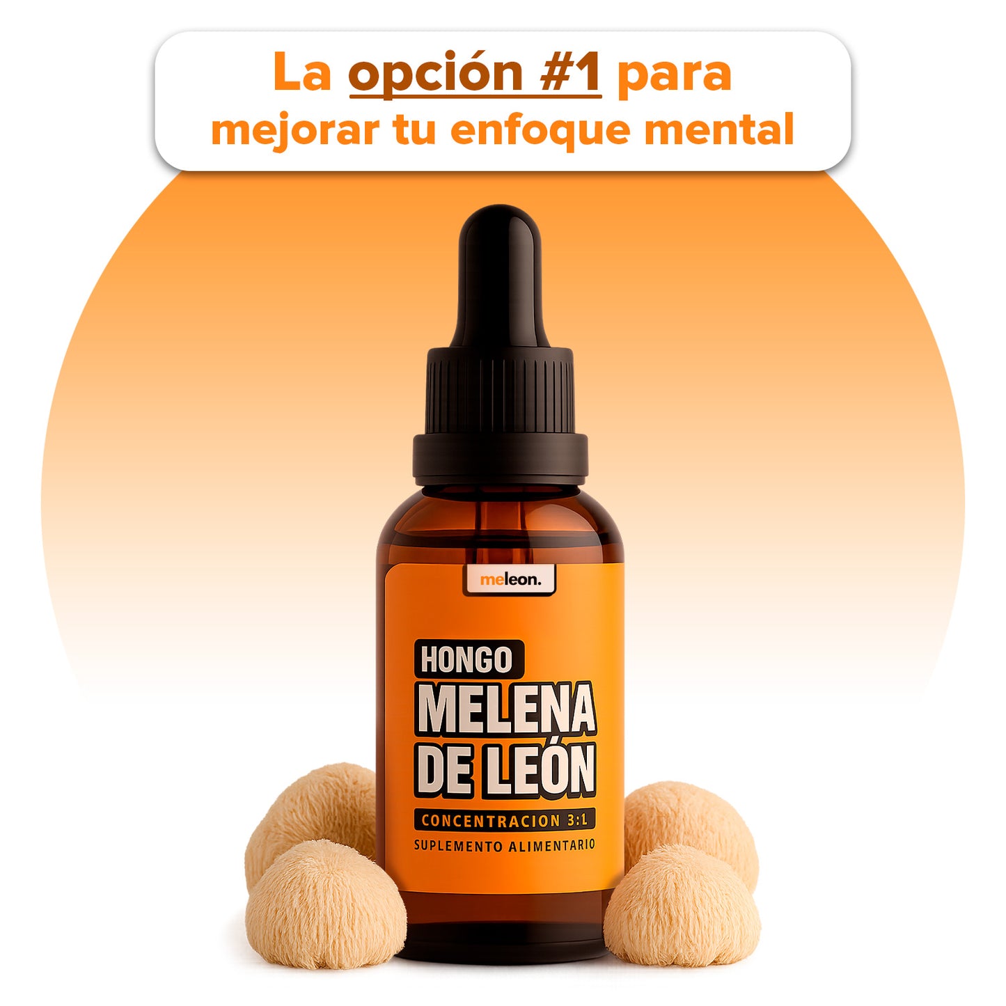 MELENA DE LEÓN | CONCENTRACIÓN, VITALIDAD Y MEMORIA